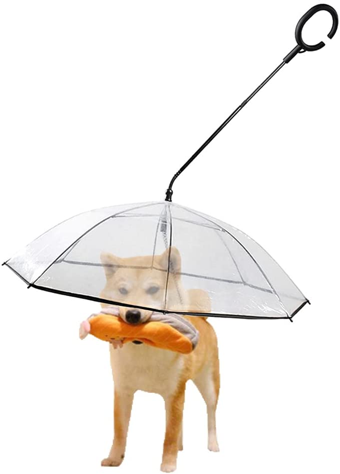 Paialu Pet Dog Transparent Umbrella