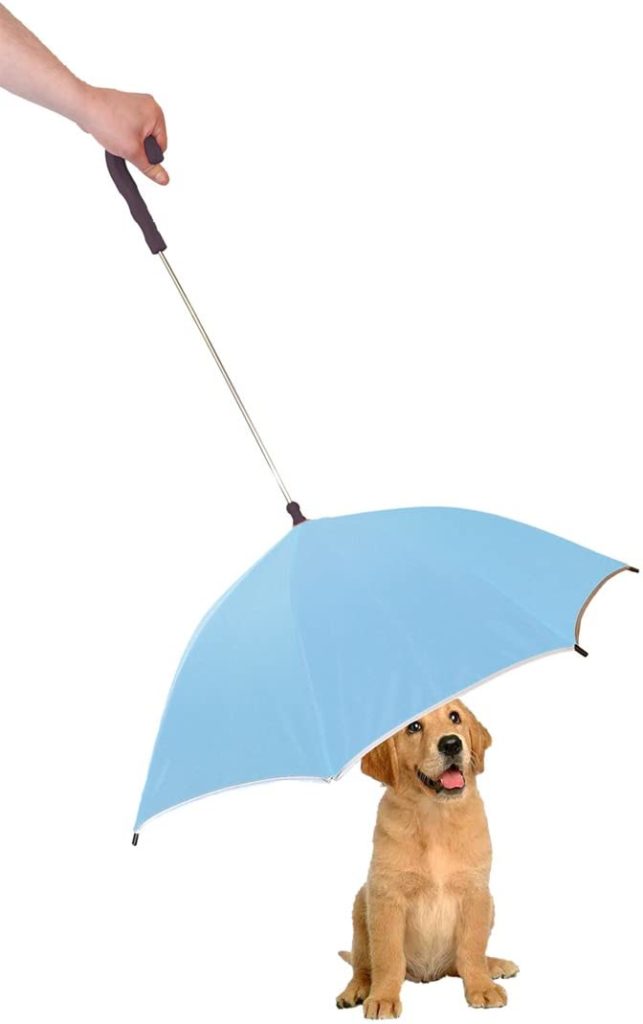 Pour Protection Umbrella