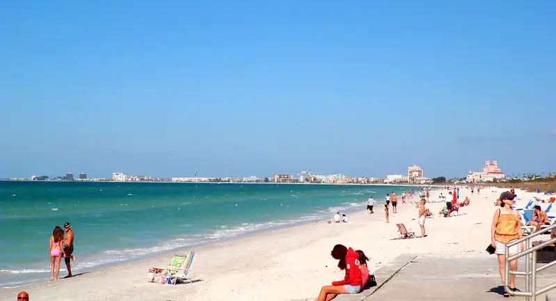 best dog beaches in Tampa | Pass A Grille Dog Beach 