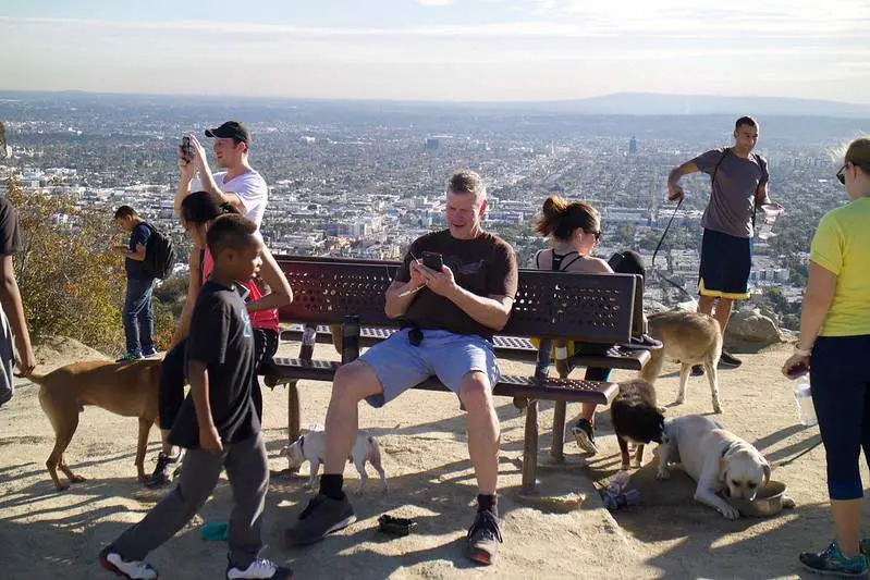 Dog-Friendly Runyon Canyon Hike in LA