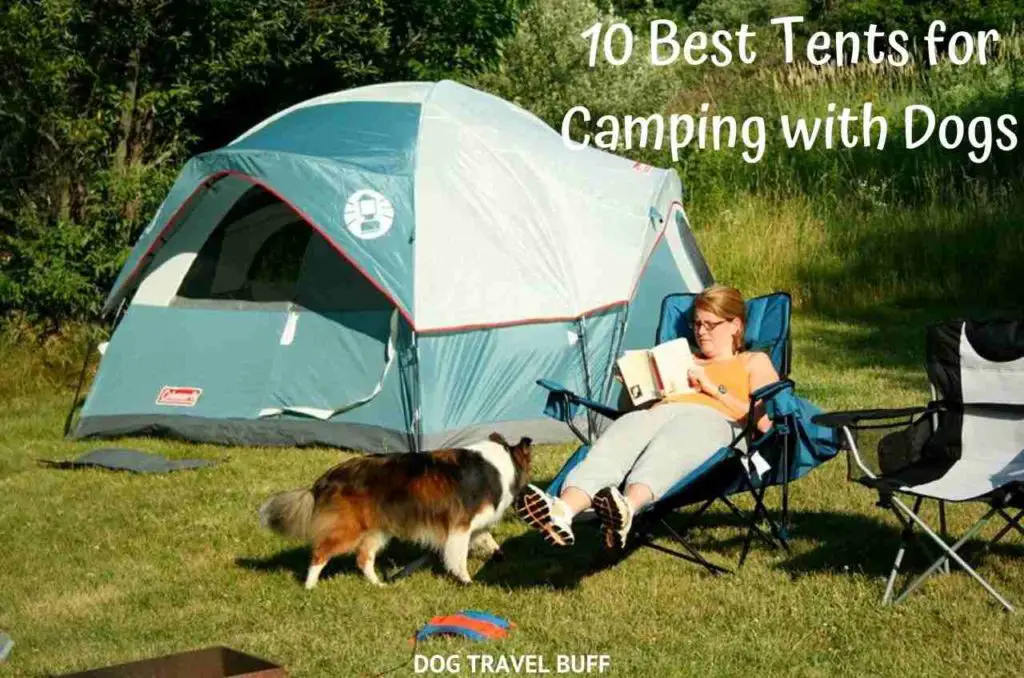 10 Best Tents for Camping with Dogs Dog Travel Buff