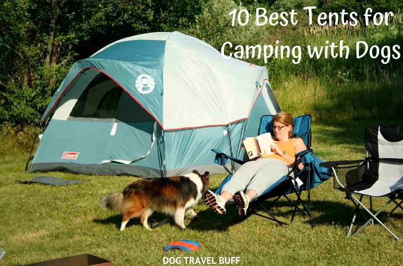 10 Best Tents for Camping with Dogs