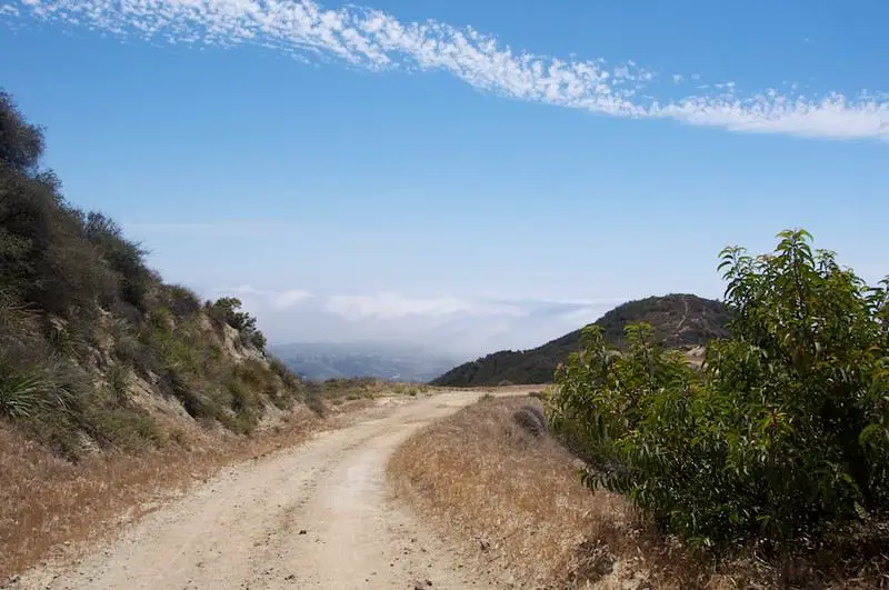 Zuma Canyon Trail