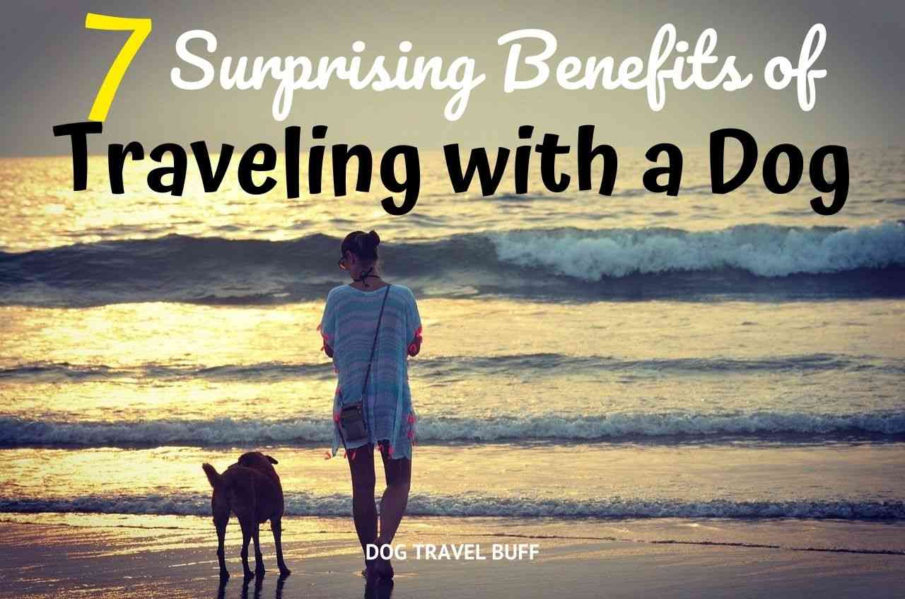 Benefits of traveling with a dog