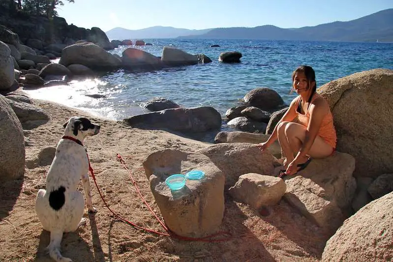 Dog Beach in Lake Tahoe