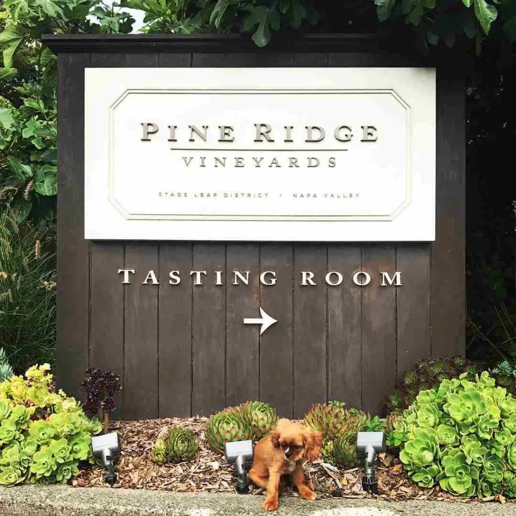best dog-friendly wineries in Napa Valley | Pine Ridge Vineyards:
