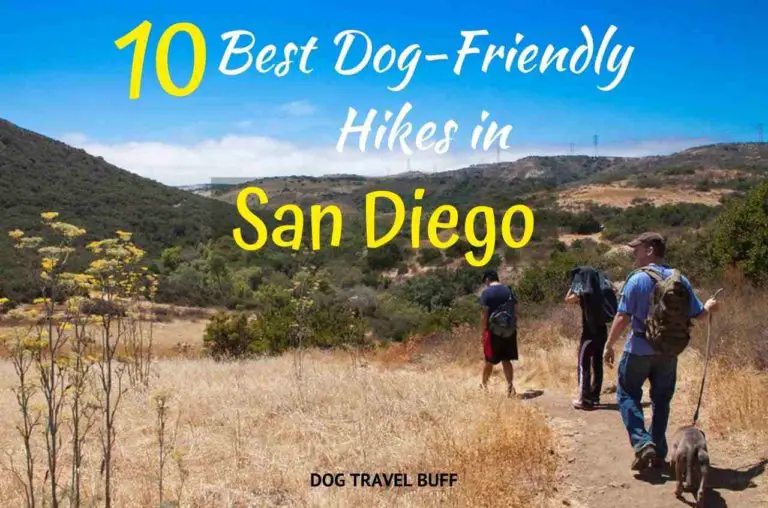 10 Best Dog Friendly Hikes in San Diego: DogTravelBuff