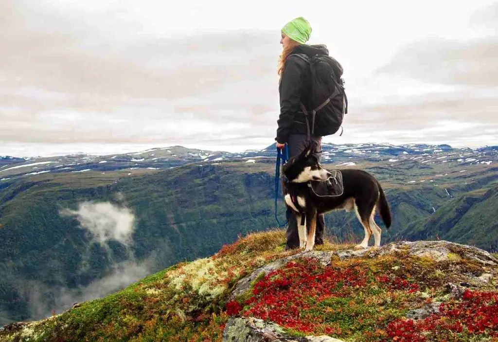 Hiking with dog with backpack