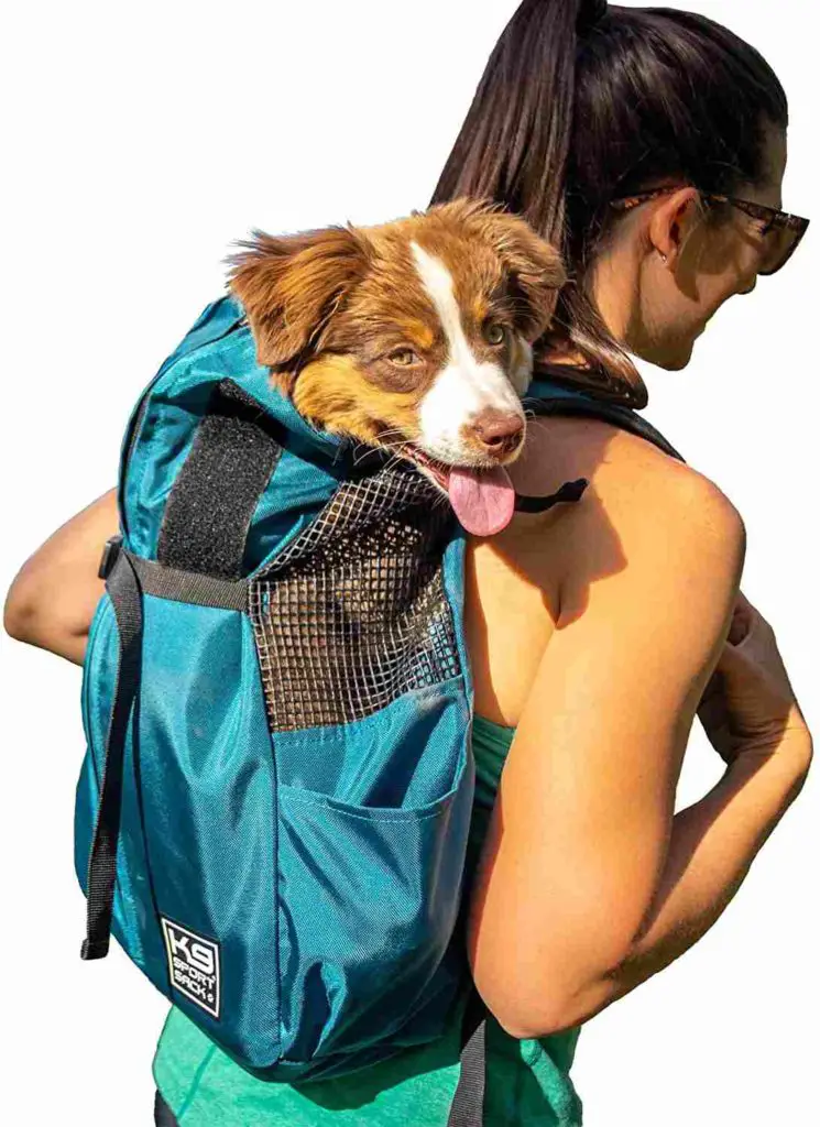 K9 SPORT SACK Dog Backpack | best pet carrier backpacks