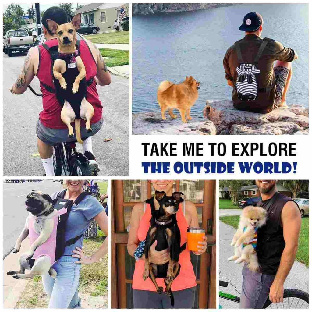 PAWABOO PET CARRIER BACKPACK