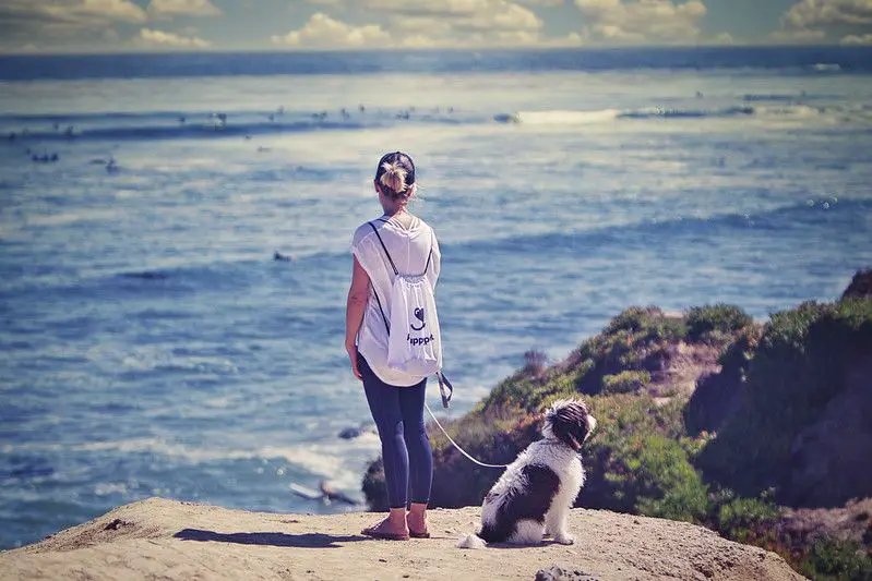 Beautiful Dog Friendly Beach in Santa Cruz