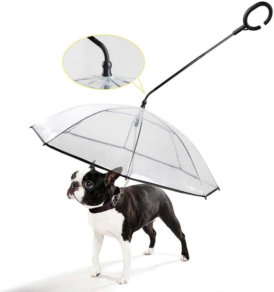 best dog umbrella | K&L Pet Dog Umbrella