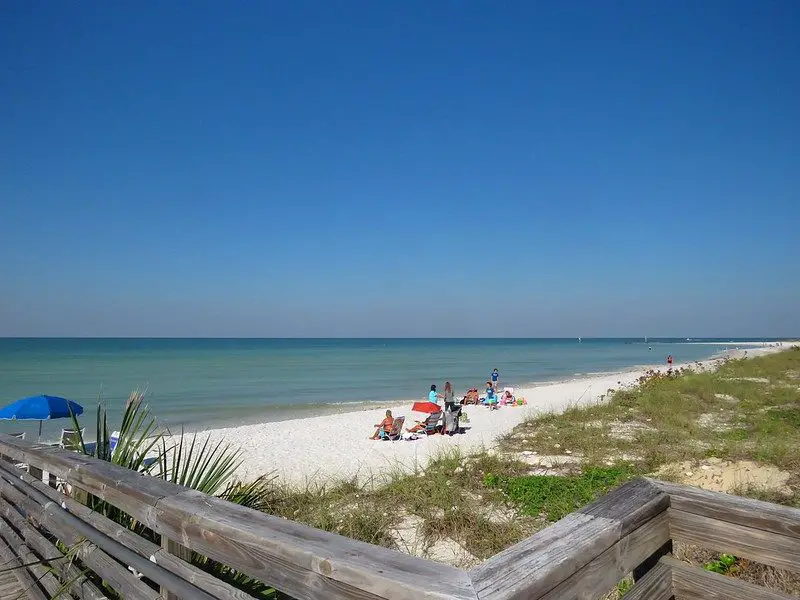 pet friendly beach in Tampa Florida | Honeymoon Island