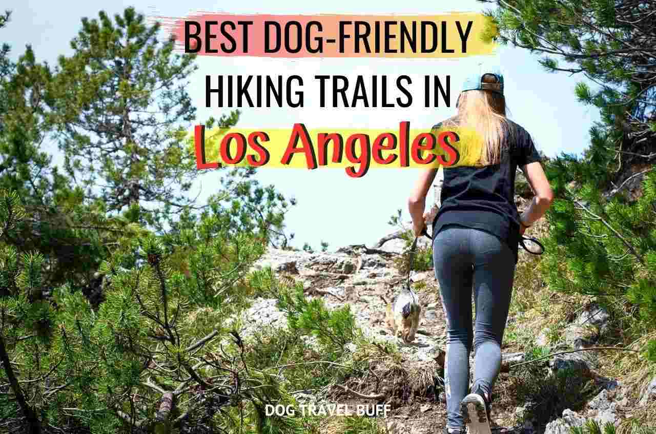 best dog-friendly hikes in Los Angeles