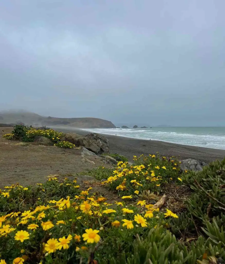 Mori Point Loop Trail