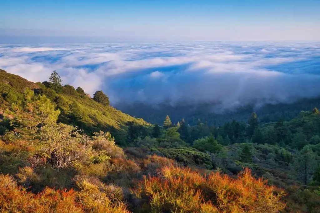 Mount Tamalpais