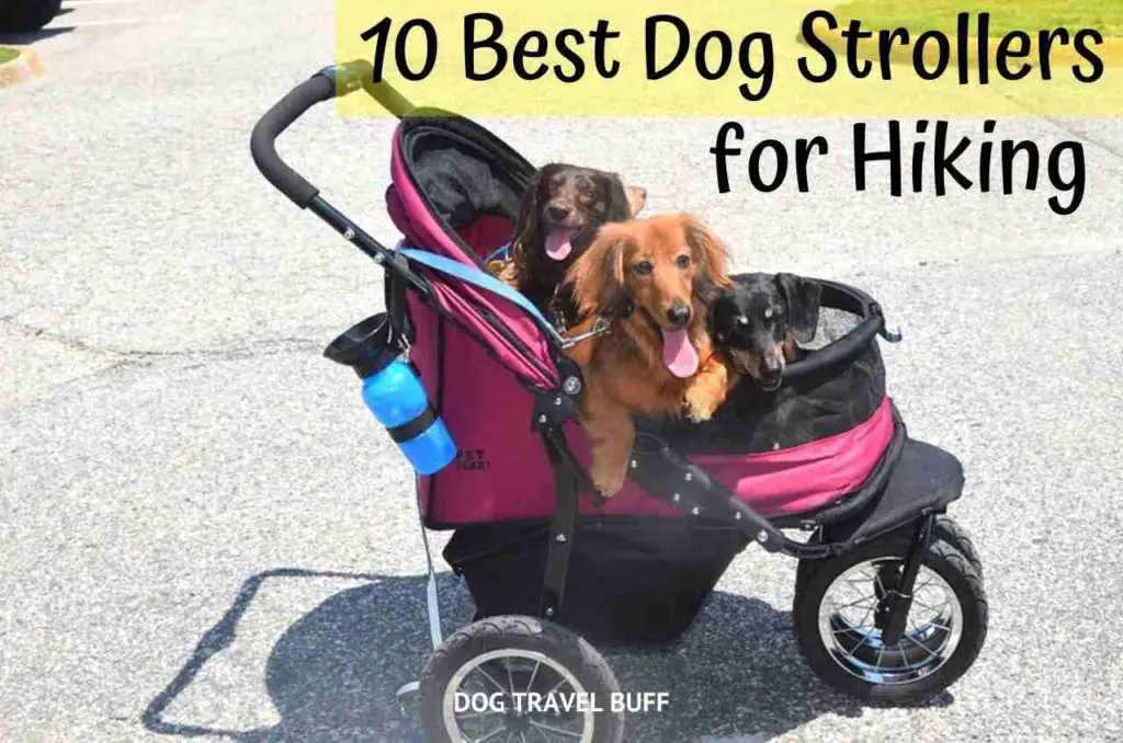 10 Best Dog Strollers for Hiking in 2023(Buying Guide+Review)