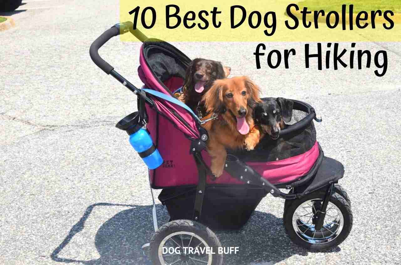 best dog strollers for hiking