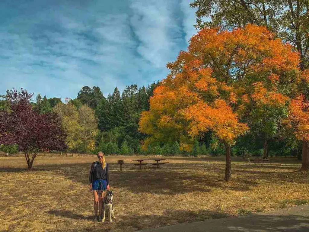 Dog-friendly Hikes in the Bay Area | French trail and Stream trail loop