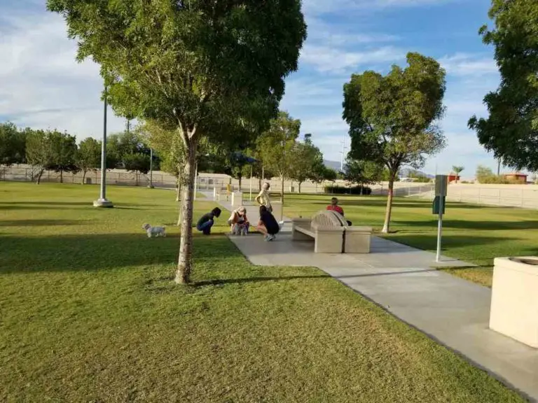 9 Best Dog Parks in Las Vegas, NV DogTravelBuff