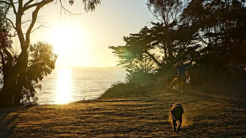 Douglas Family Preserve