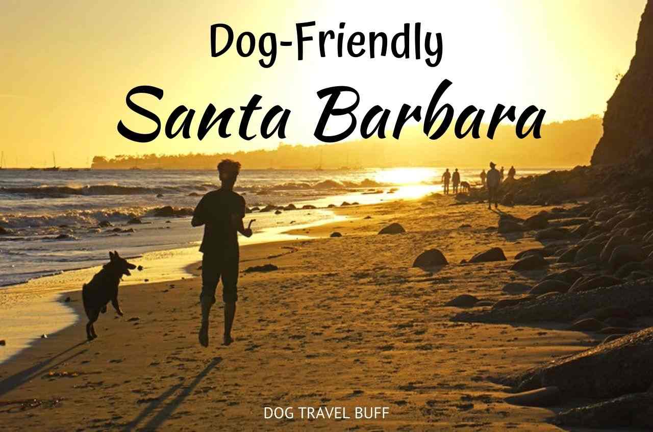 does santa barbara beach allow dogs