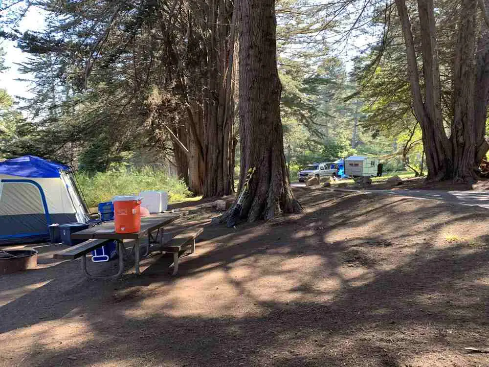 Best Dog-Friendly Camping in California | Plaskett Creek Campground