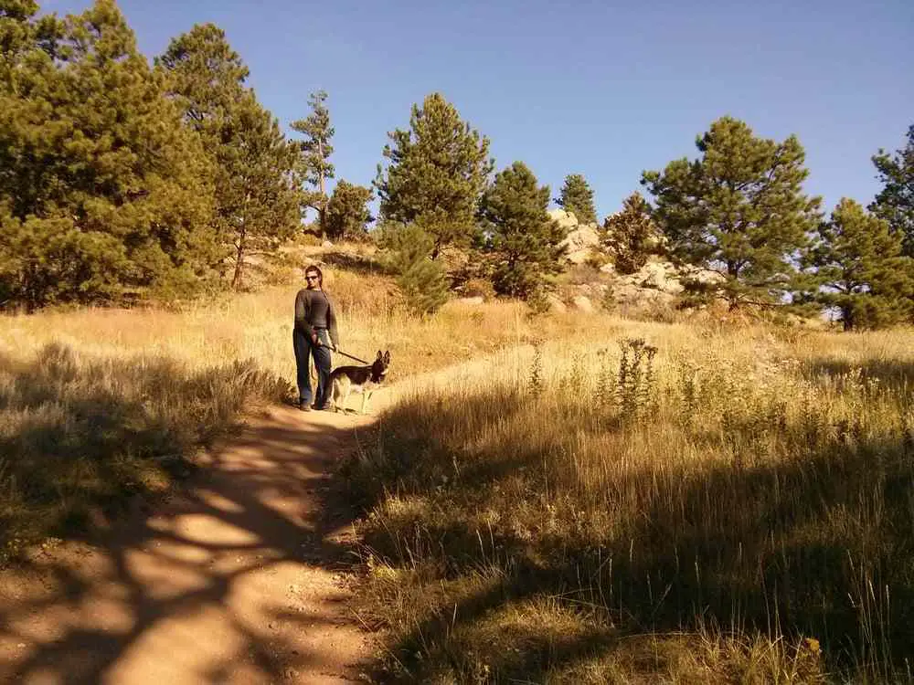 Dog-friendly Hikes Near Denver | Elk Meadow Park