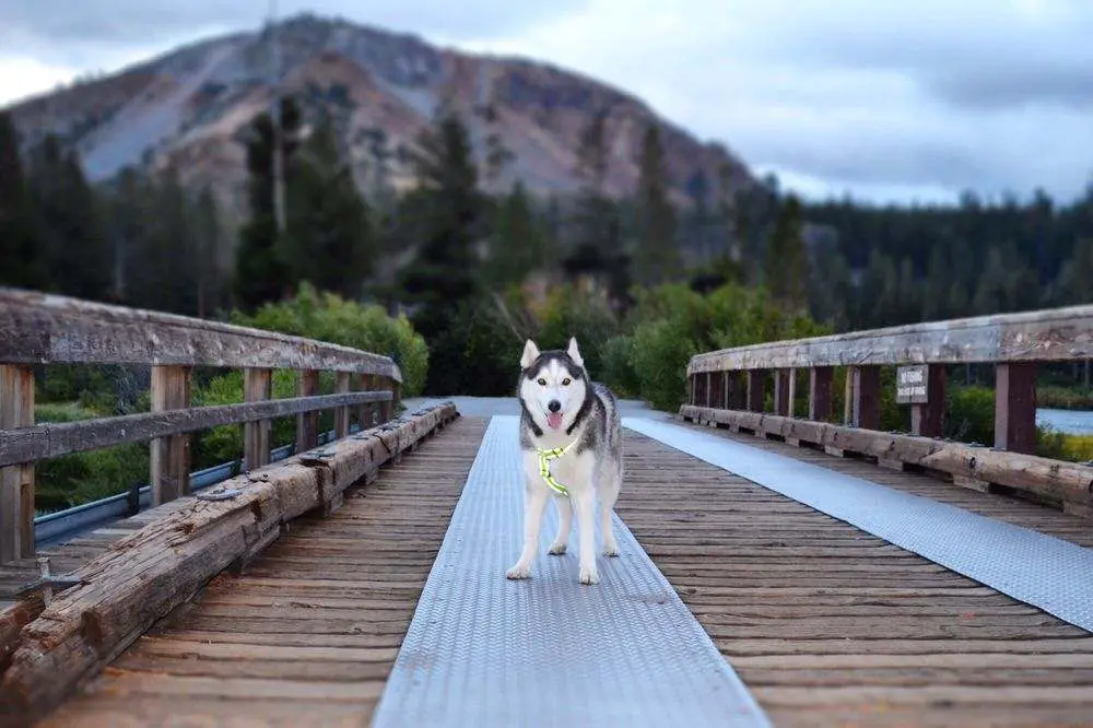 Twin Lakes Campground