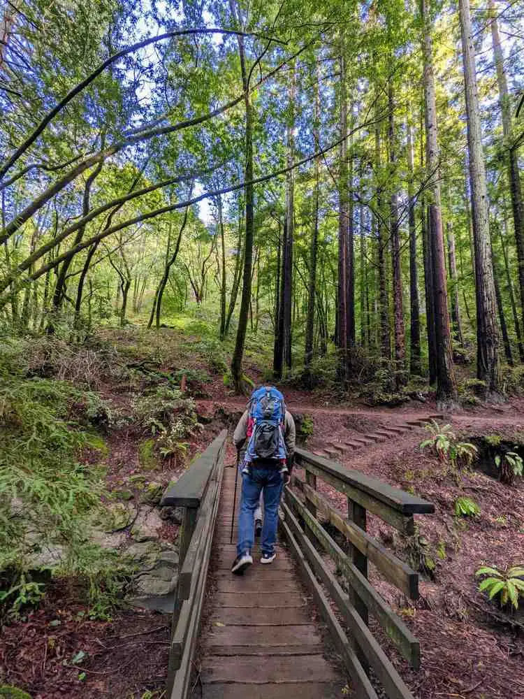 Dawn Falls Trail