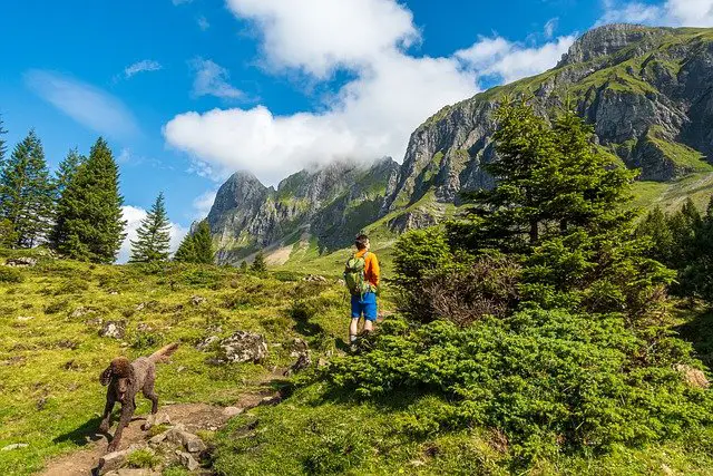 Teach your dog to hike off leash