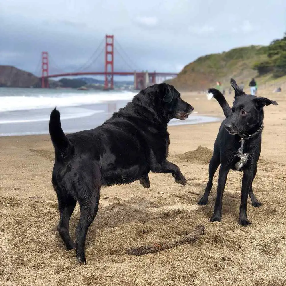 Baker Beach