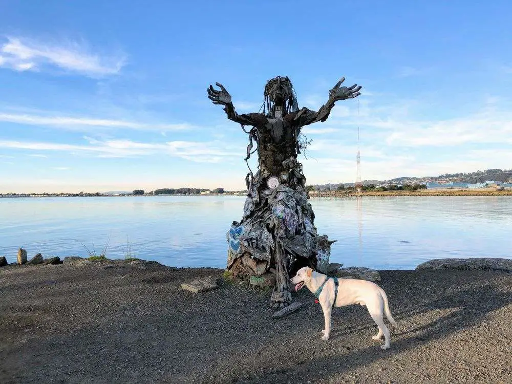 Albany Bulb