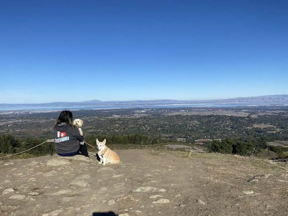 Dog-Friendly Hikes in Santa Cruz_West Glenwood Open Space Preserve