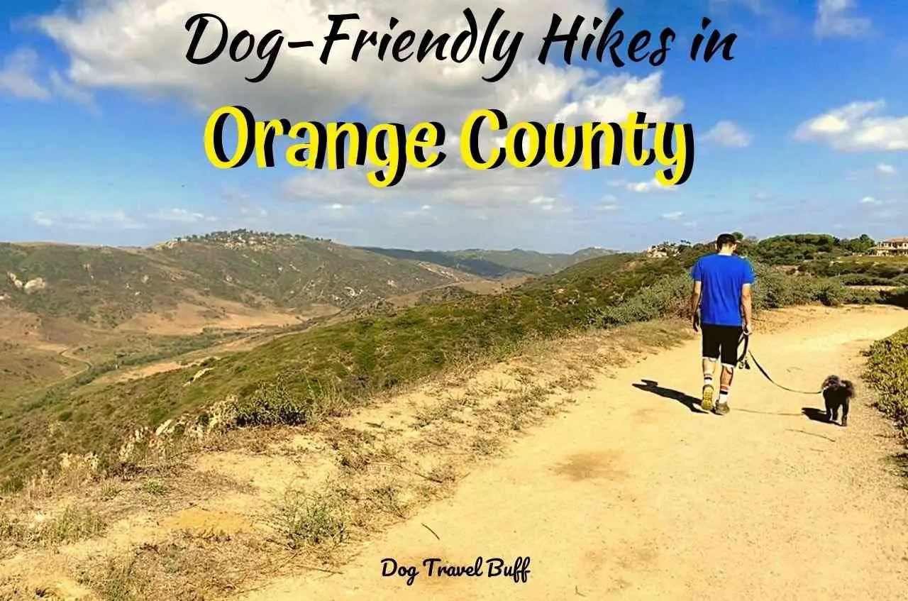 dog friendly hikes in Orange County