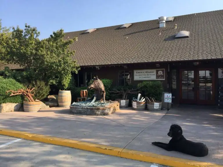 9 Best Dog-Friendly Wineries in Paso Robles: Guide & Tips