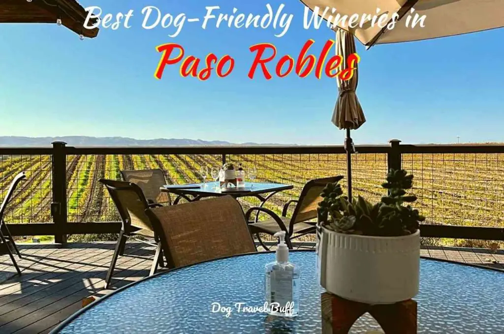 9 Best DogFriendly Wineries in Paso Robles Guide & Tips