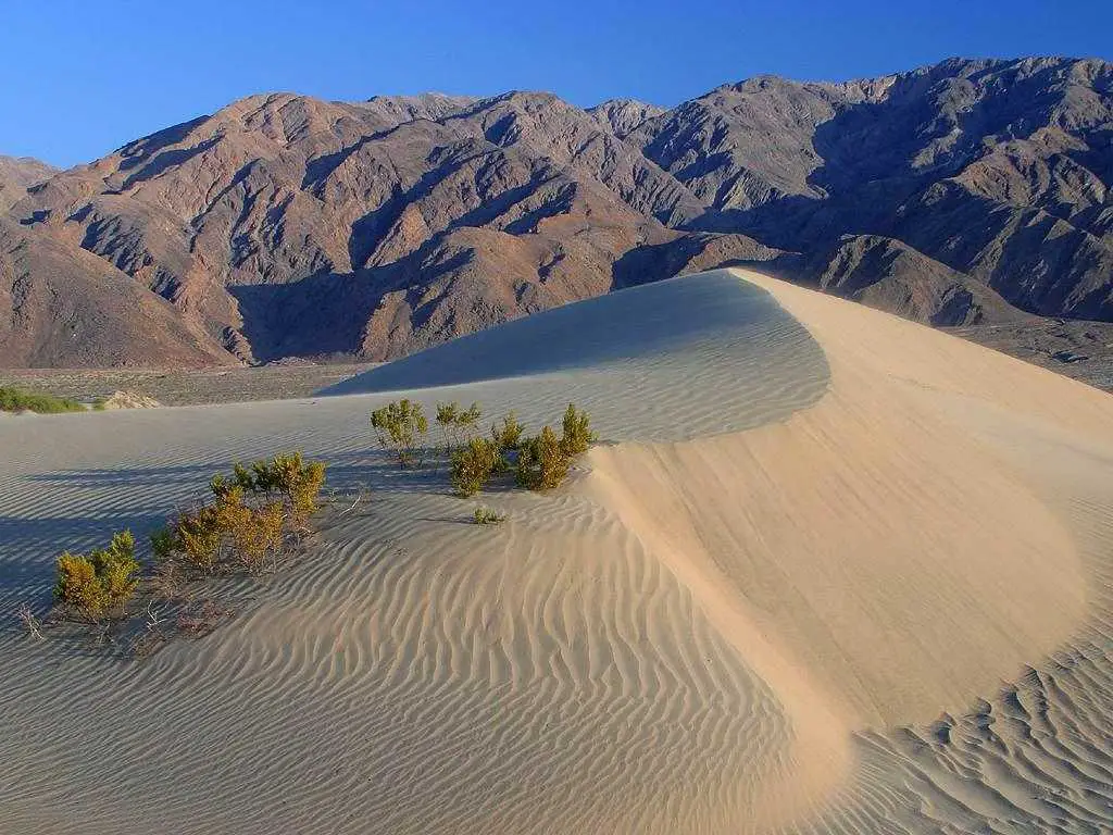 pet friendly Death Valley