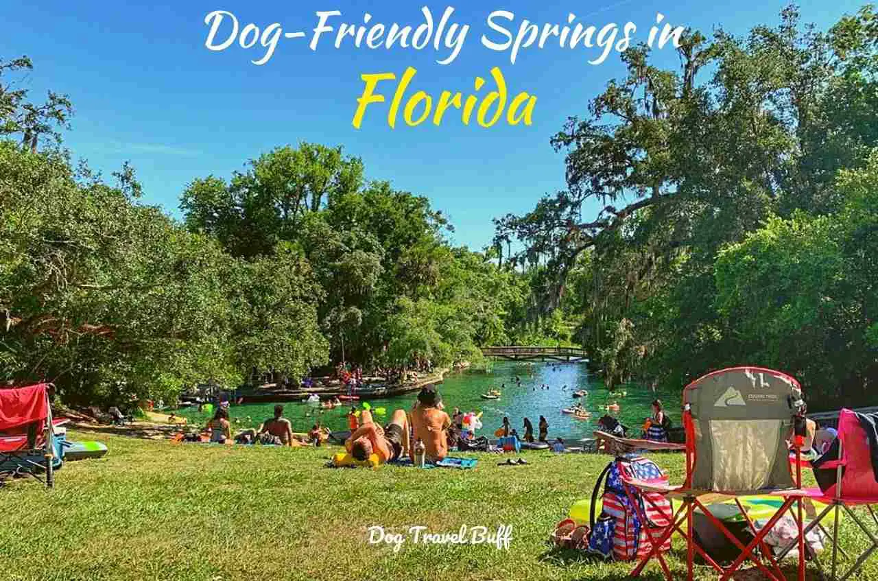 dog friendly springs in Florida