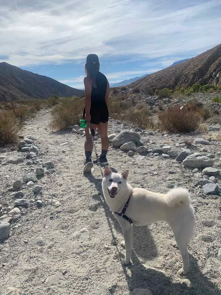 Whitewater Canyon Loop Trail