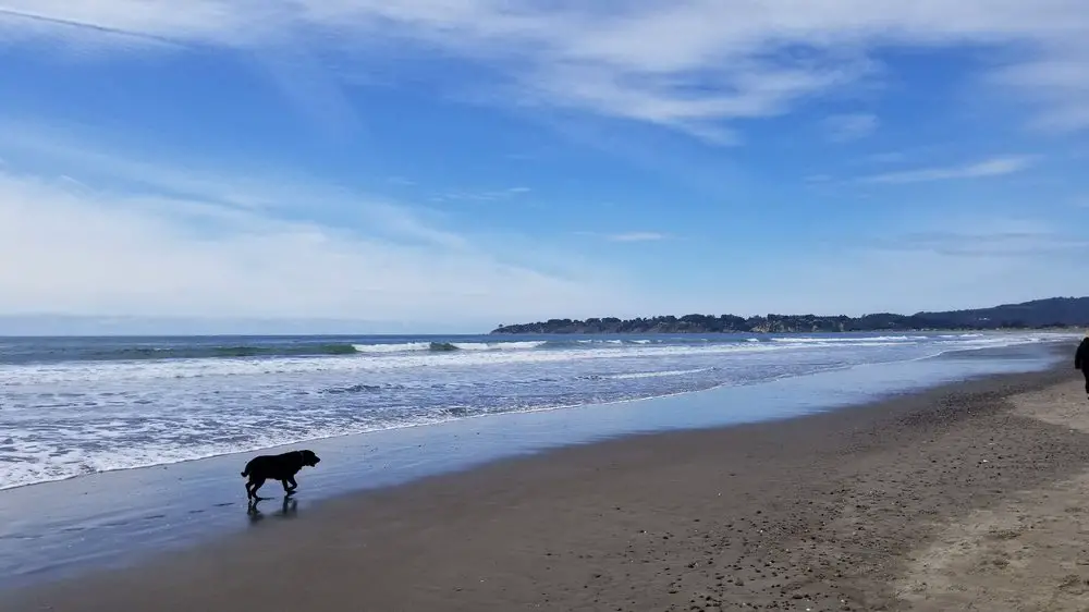 Stinson Beach