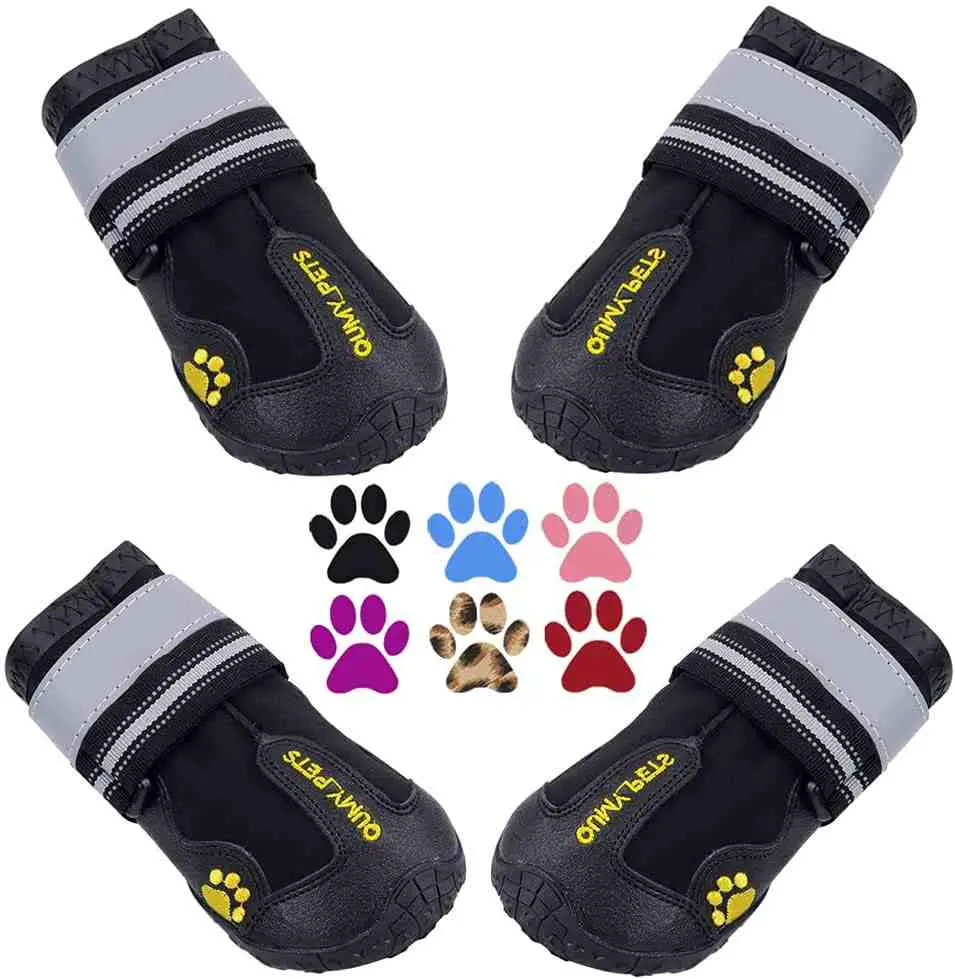 best hiking boot for dogs_QUMY Dog Boots Waterproof Shoes