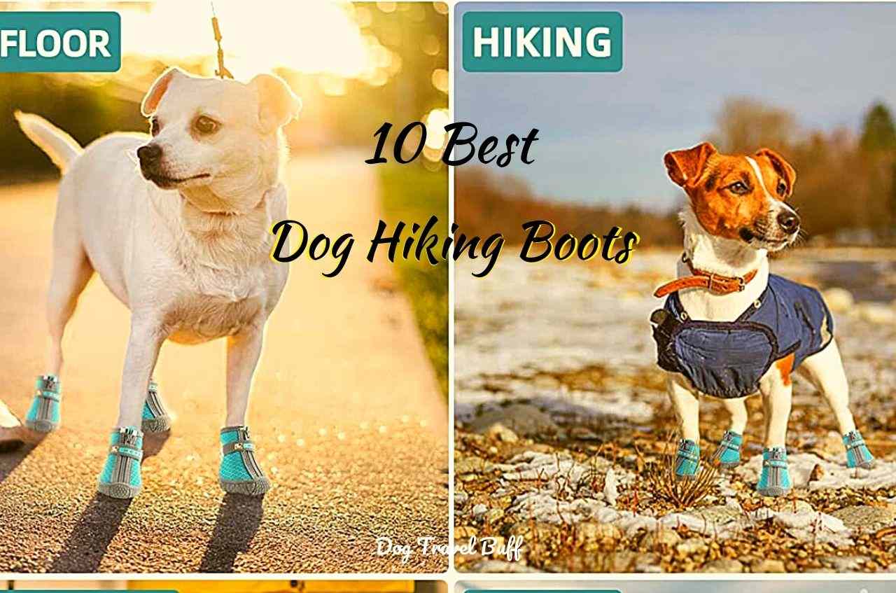 all4canid Breathable Dog Boots Dog Hiking Shoes with Durable Anti-Slip Sole and Soft Mesh Top 4PCS 
