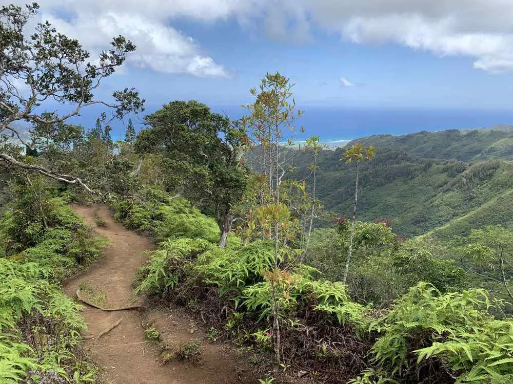 Kuliouou Ridge Trail