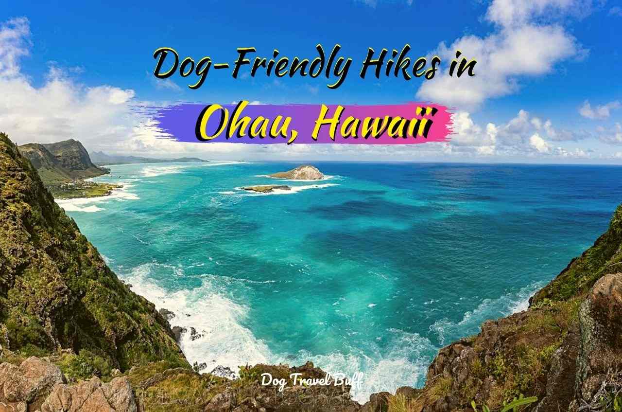 dog-friendly hikes in Oahu