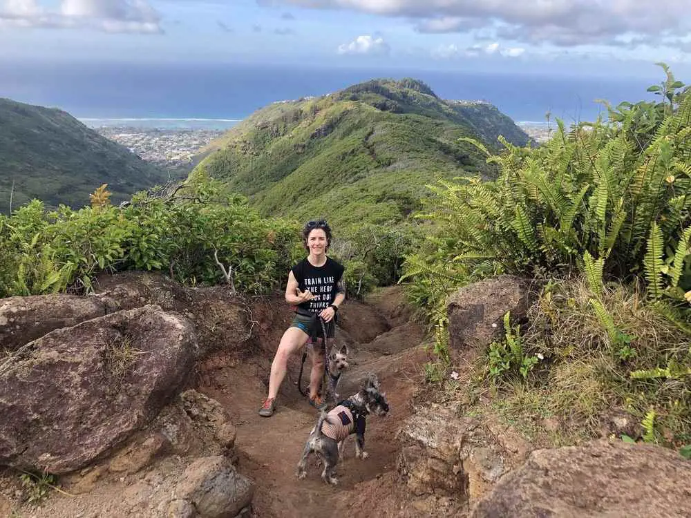 Hawaii Loa Ridge Trail