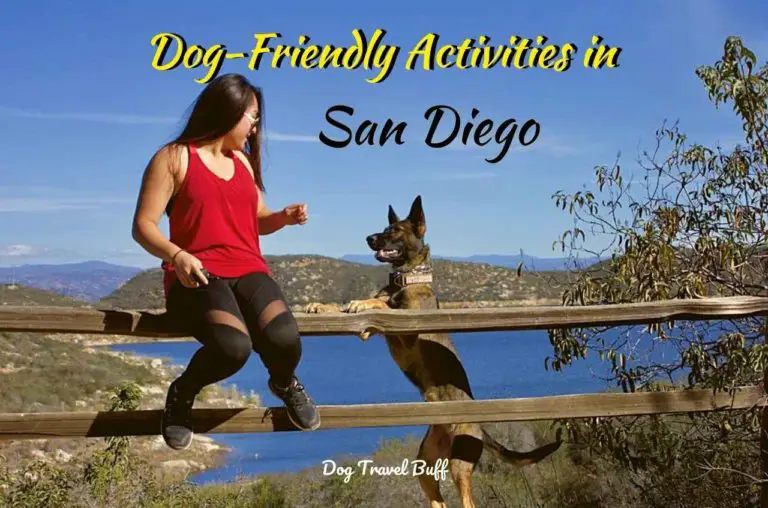 dog-friendly activities in San Diego