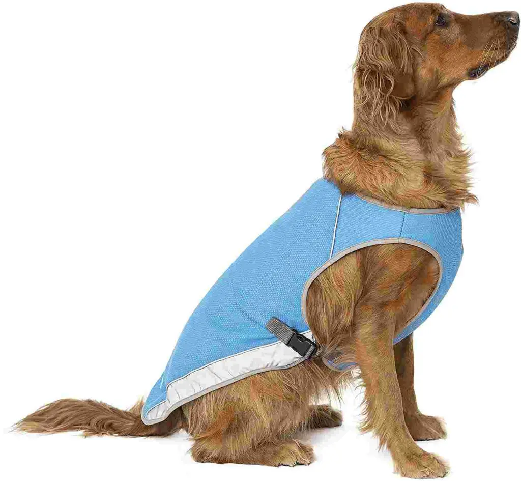hiking gear for dogs_Cooling Vest