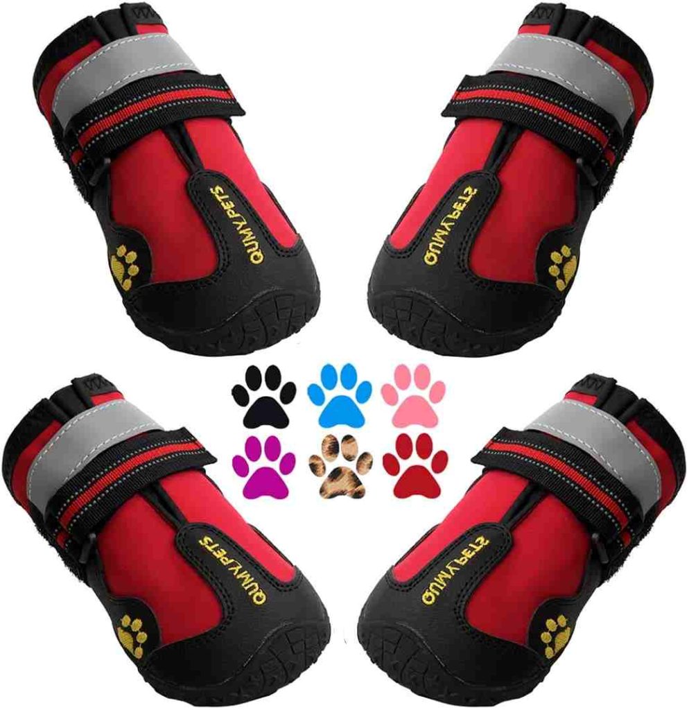 hiking gear for dogs_Dog Hiking Boots