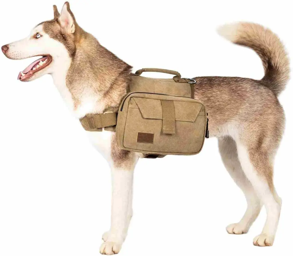 Dog Backpack